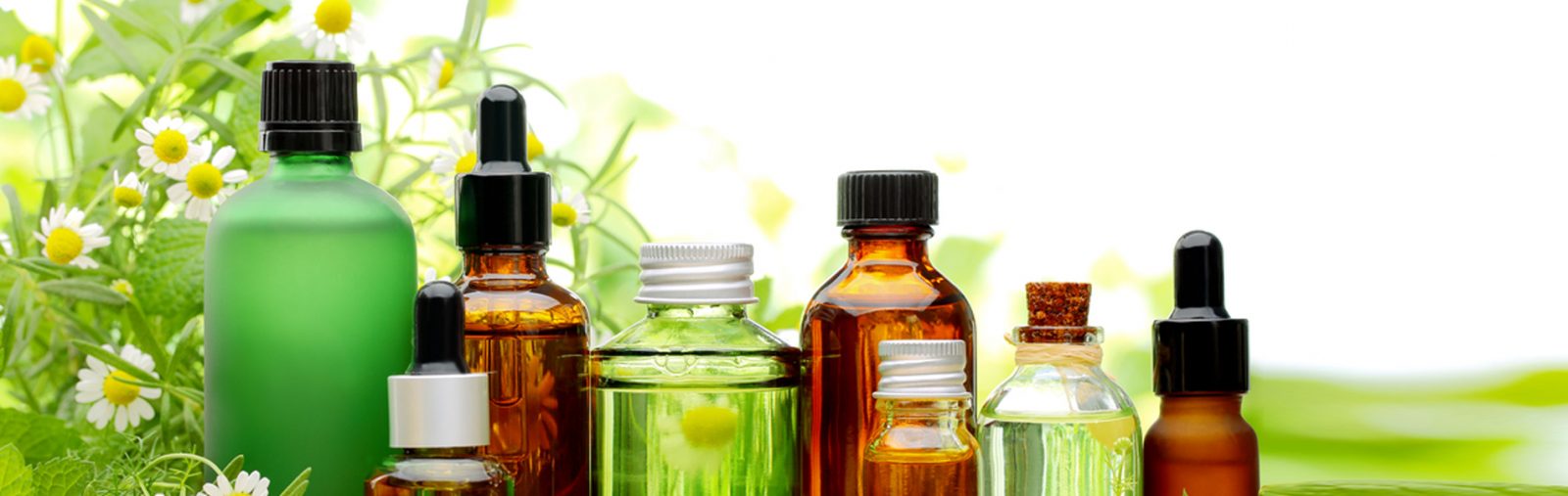 Trade Essential Oils