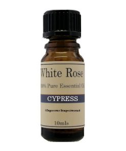 Cypress 100% pure essential oil. Therapeutic & cosmetic grade.