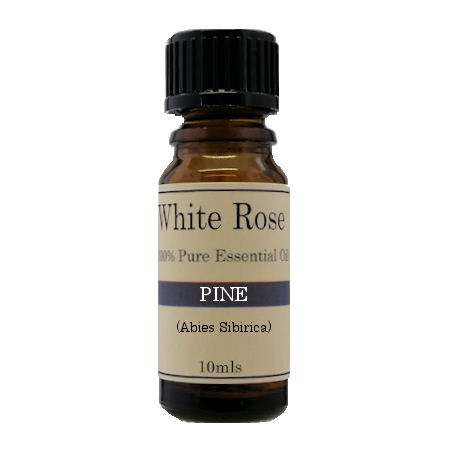 Pine 100% pure essential oil. Therapeutic & cosmetic grade.