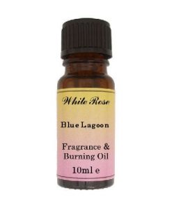 Blue Lagoon (paraben Free) Fragrance Oil
