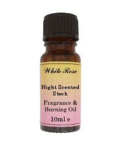 Night Scented Stock (paraben Free) Fragrance Oil
