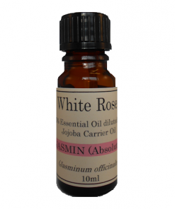 5% Diluted Essential Oil Jasmine Absolute (Jasminum officinale)
